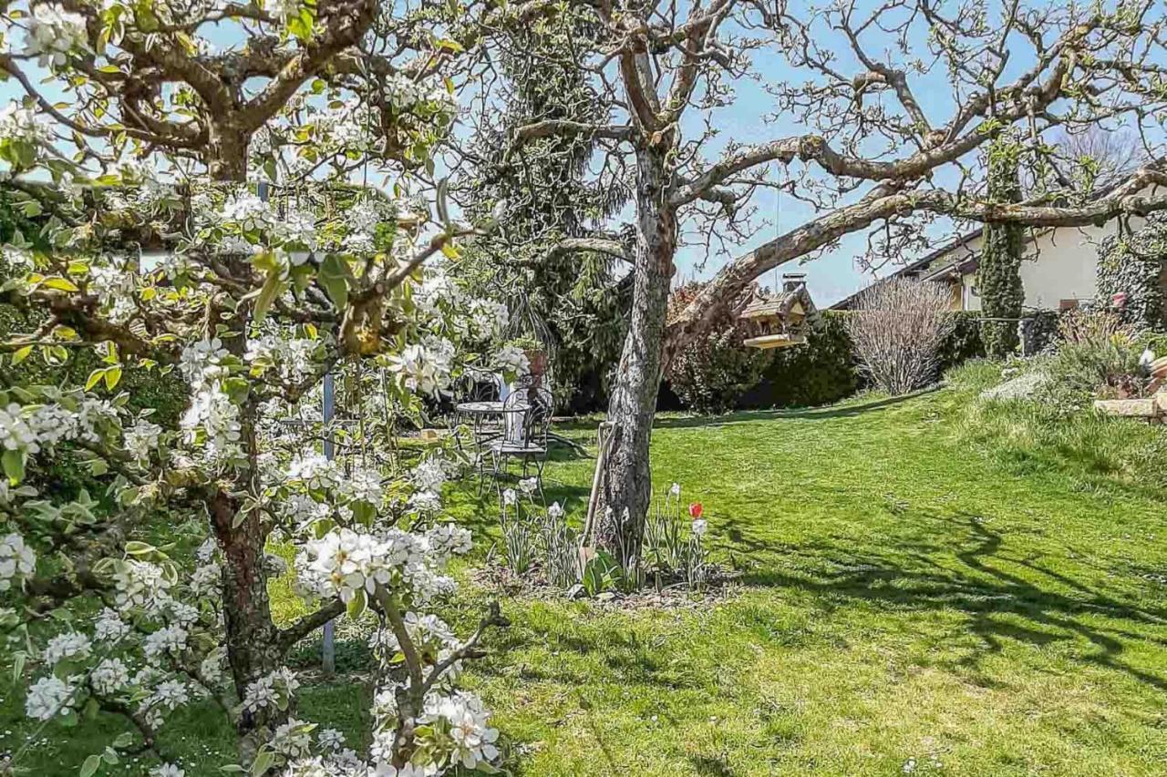Ferienwohnung Am Hasenweg Ruhstorf an der Rott Exteriör bild